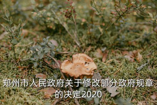 鄭州政府，鄭州市新省政府在哪