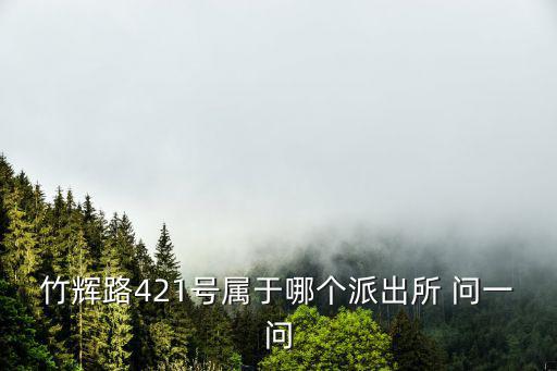 竹輝路421號屬于哪個派出所 問一問
