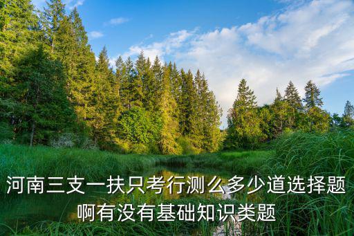 河南省三支一扶官網，13年河南選調生服務基層高校畢業生