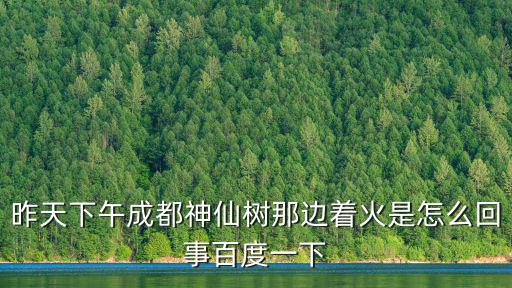 成都八寶街火災，昨天下午成都神仙樹那邊著火是怎么回事百度一下