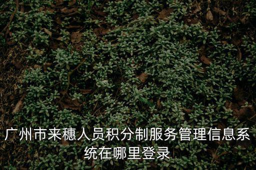 廣州市來穗人員積分制服務管理信息系統(tǒng)在哪里登錄