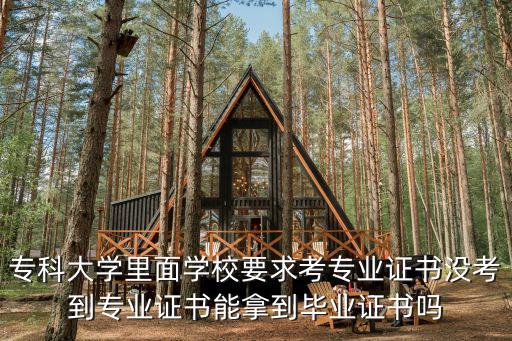 專科大學里面學校要求考專業證書沒考到專業證書能拿到畢業證書嗎