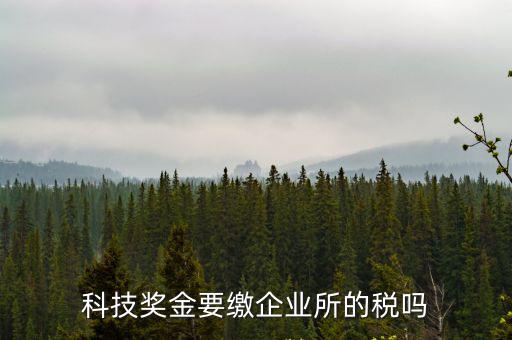 科技獎金要繳企業所的稅嗎