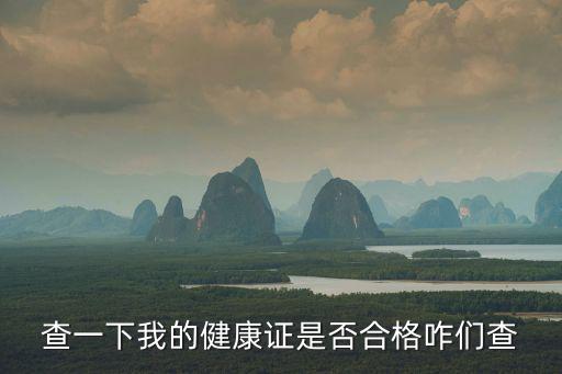 查一下我的健康證是否合格咋們查