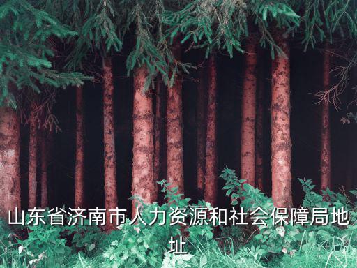 山東省濟(jì)南市人力資源和社會保障局地址