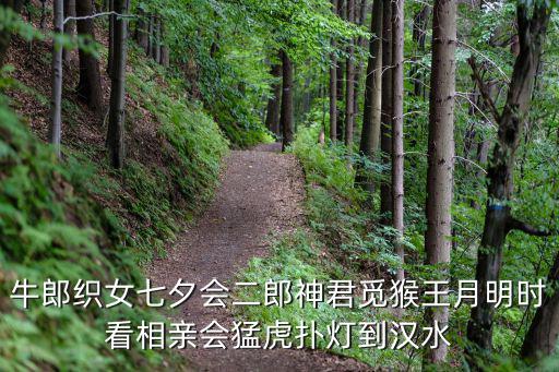 七夕相親會，七夕情人節相親么