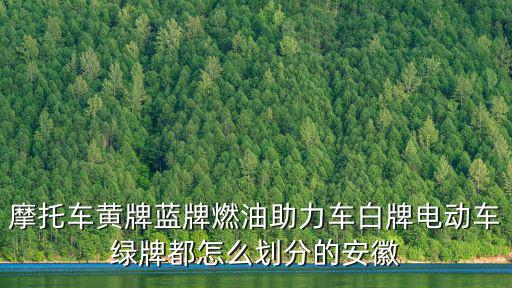 摩托車(chē)黃牌藍(lán)牌燃油助力車(chē)白牌電動(dòng)車(chē)綠牌都怎么劃分的安徽