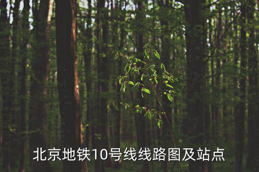 北京地鐵10號線線路圖及站點