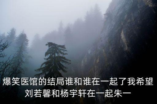 爆笑醫館，醫館笑傳里這是第幾集
