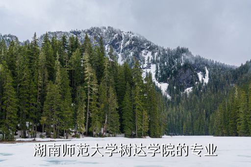 湖南師范大學樹達學院的專業