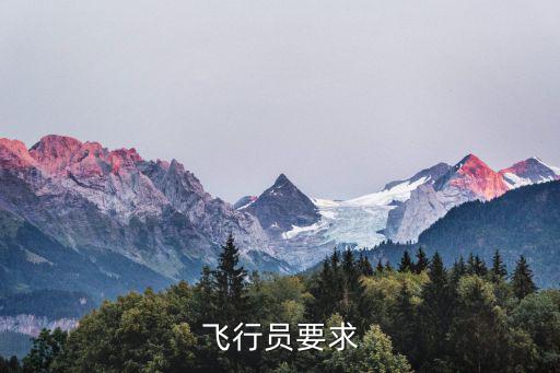 飛行員要求