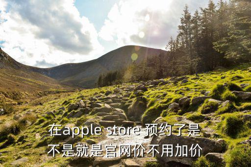 蘋果預約，在apple store 預約了是不是就是官網價不用加價