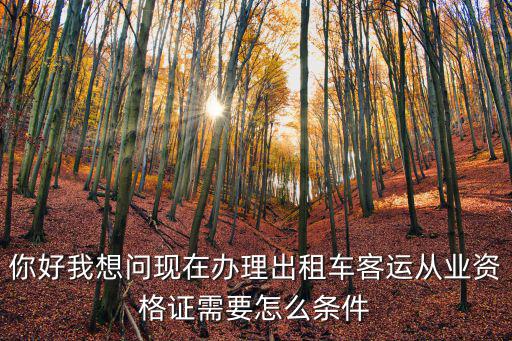 你好我想問現(xiàn)在辦理出租車客運從業(yè)資格證需要怎么條件