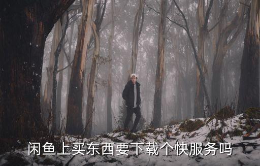 快服務，閑魚上買東西要下載個快服務嗎