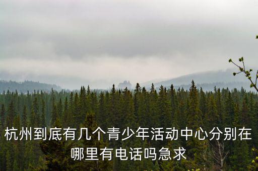 杭州青少年活動中心，杭州青少年活動中心的機構簡介