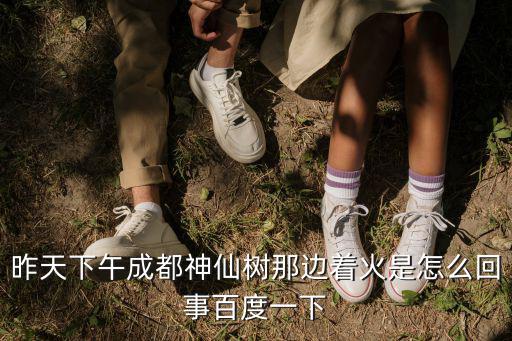 昨天下午成都神仙樹那邊著火是怎么回事百度一下