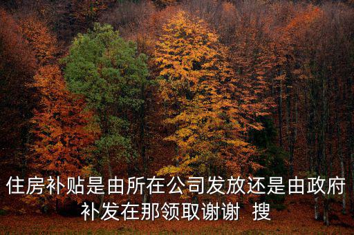 住房補(bǔ)貼是由所在公司發(fā)放還是由政府補(bǔ)發(fā)在那領(lǐng)取謝謝  搜