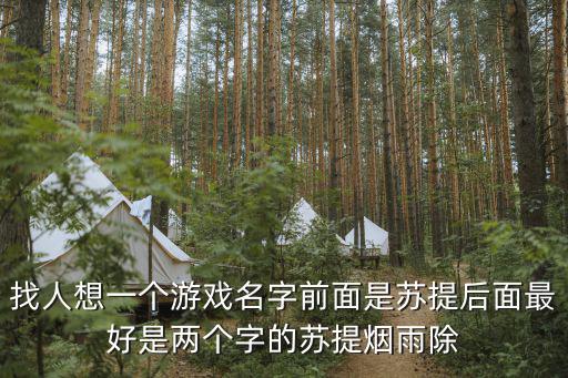 找人想一個游戲名字前面是蘇提后面最好是兩個字的蘇提煙雨除