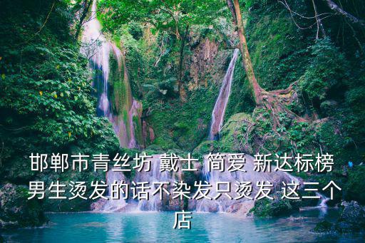 邯鄲市青絲坊 戴士 簡愛 新達標榜 男生燙發的話不染發只燙發 這三個店