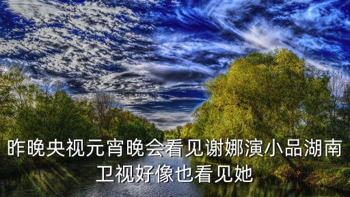 昨晚央視元宵晚會看見謝娜演小品湖南衛視好像也看見她