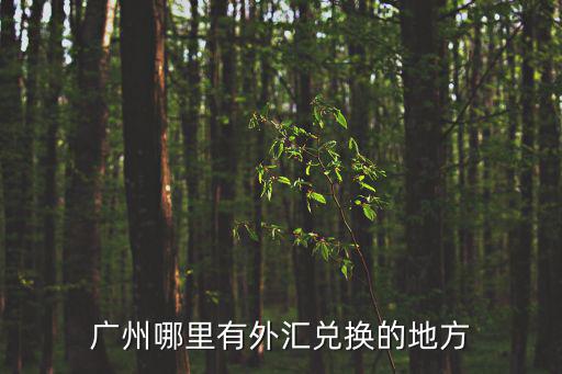 廣州哪里有外匯兌換的地方