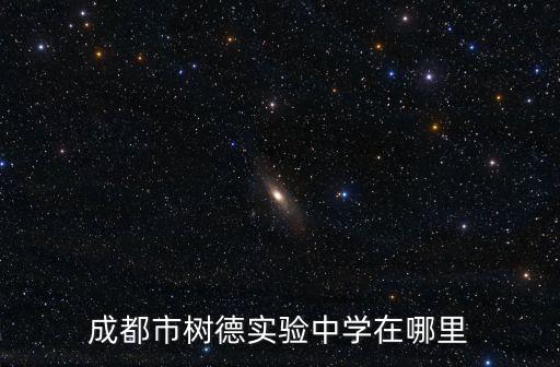 成都樹德實驗中學，成都樹德實驗中學西區的校風