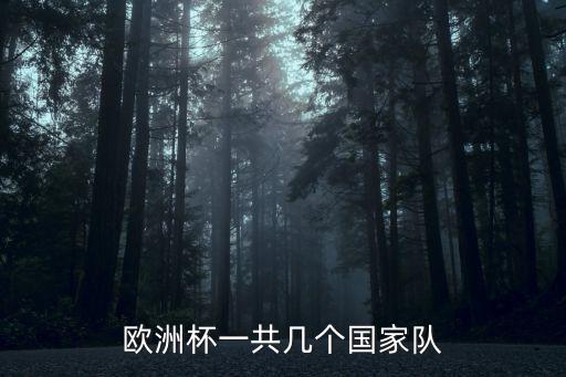 歐洲杯賽程表，歐洲足球四大聯賽及歐洲杯歐冠杯等的時間分別是每年或每四年的