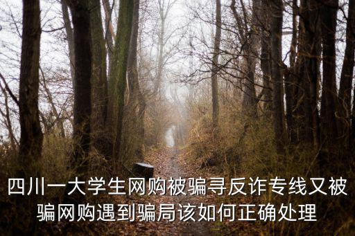 四川一大學(xué)生網(wǎng)購(gòu)被騙尋反詐專線又被騙網(wǎng)購(gòu)遇到騙局該如何正確處理