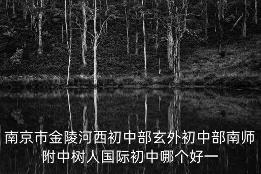 南京市金陵河西初中部玄外初中部南師附中樹人國(guó)際初中哪個(gè)好一