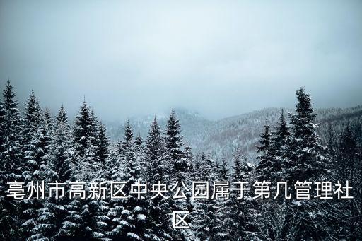 亳州市高新區(qū)中央公園屬于第幾管理社區(qū)