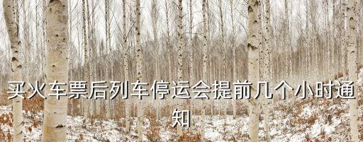 買火車票后列車停運會提前幾個小時通知