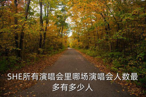 SHE所有演唱會里哪場演唱會人數最多有多少人