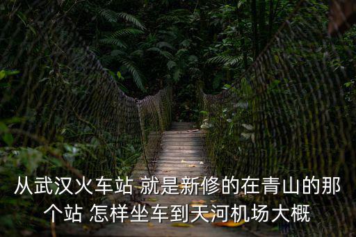 武漢站到天河機場，武漢站到天河機場T3打的士3小時夠嗎