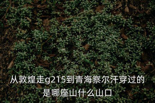 從敦煌走g215到青海察爾汗穿過的是哪座山什么山口
