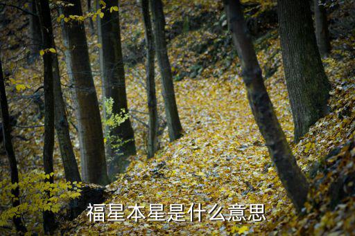 福星本星是什么意思