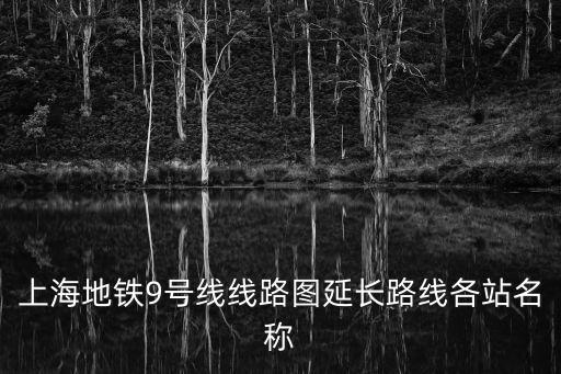 上海地鐵9號線線路圖延長路線各站名稱