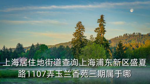 上海居住地街道查詢上海浦東新區盛夏路1107弄玉蘭香苑三期屬于哪