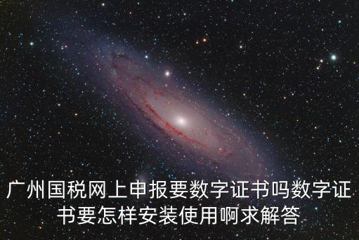 廣州國稅網，廣州國稅網上申報要數字證書嗎數字證書要怎樣安裝使用啊求解答