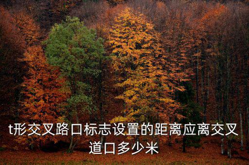 t形交叉路口標志設(shè)置的距離應(yīng)離交叉道口多少米