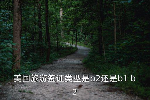 b1簽證，美國旅游簽證類型是b2還是b1 b2