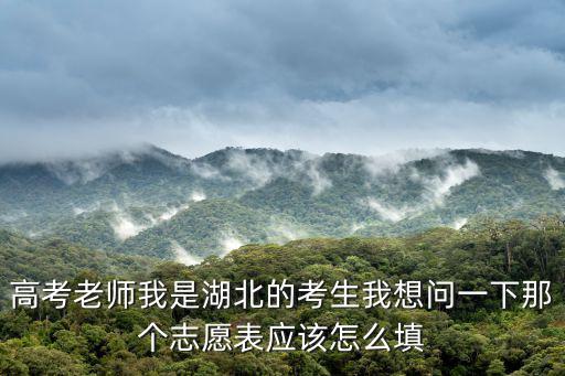 高考老師我是湖北的考生我想問一下那個志愿表應該怎么填
