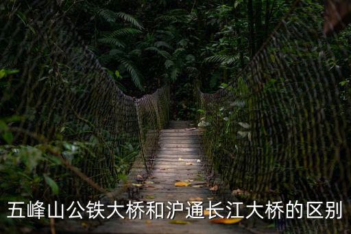 五峰山公鐵大橋和滬通長江大橋的區別