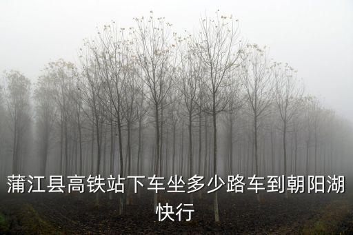 蒲江縣高鐵站下車坐多少路車到朝陽湖快行