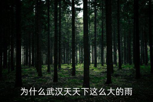 為什么武漢天天下這么大的雨