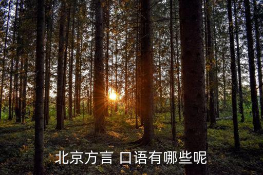 北京方言 口語有哪些呢