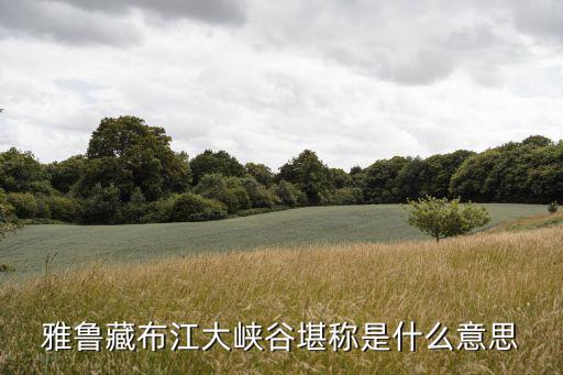 雅魯藏布江大峽谷，雅魯藏布大峽谷用什么說明他是世界第一大峽谷
