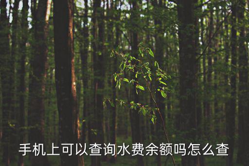 手機上可以查詢水費余額嗎怎么查