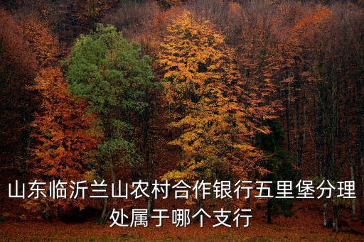 山東臨沂蘭山農(nóng)村合作銀行五里堡分理處屬于哪個(gè)支行