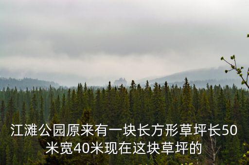 江灘公園原來有一塊長方形草坪長50米寬40米現在這塊草坪的