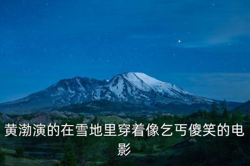 黃渤演的在雪地里穿著像乞丐傻笑的電影